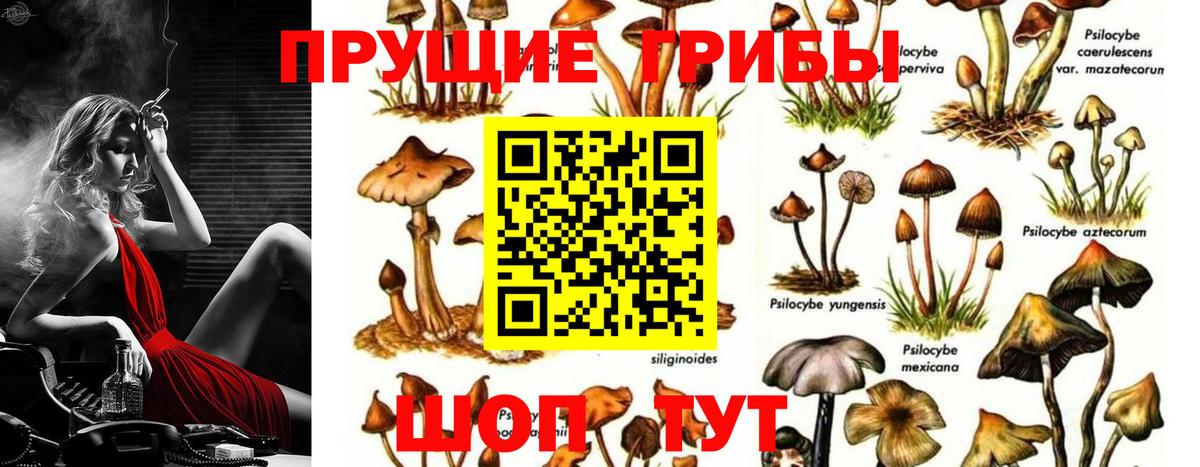 Юрга  Галлюциногенные грибы ЛСД  Вход с VPN 
